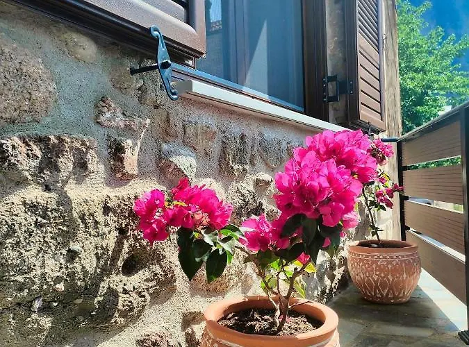 The Stone House Vakantiehuis